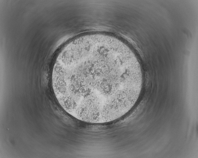 X0000111471163200908241335