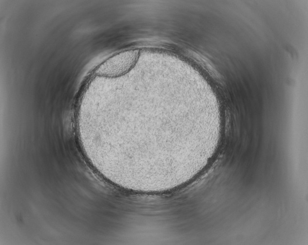 X0000111471164200908241335