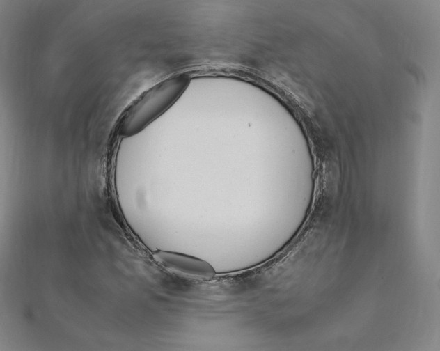 X0000111471165200908241335