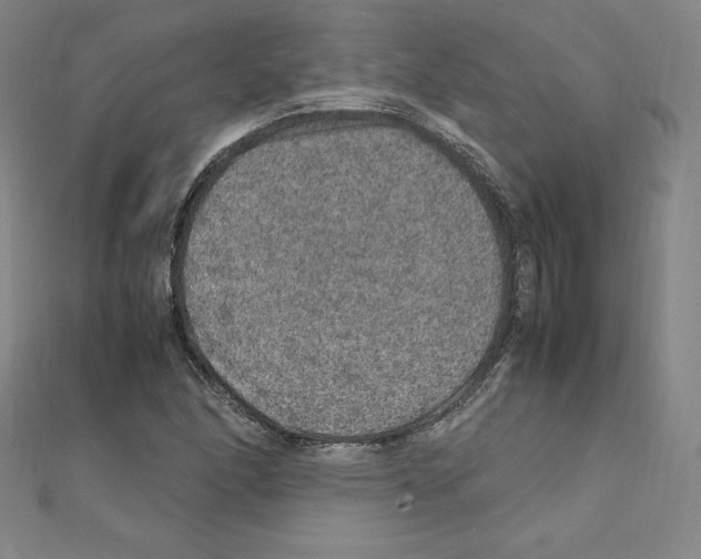 X0000111471166200908241335