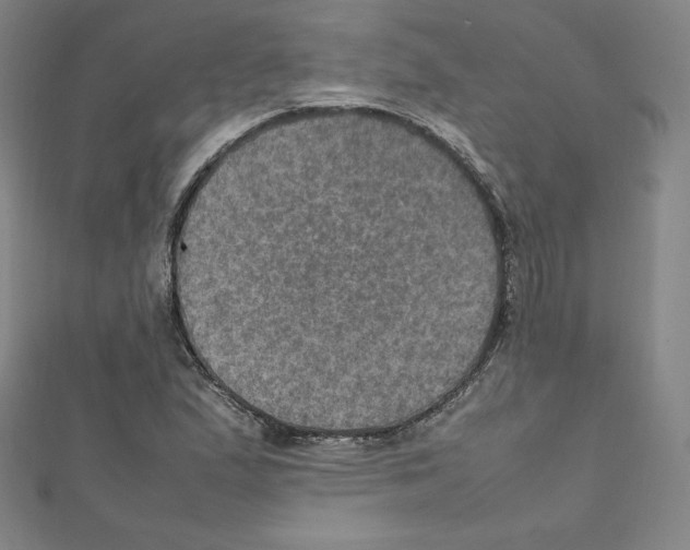 X0000111471167200908241335