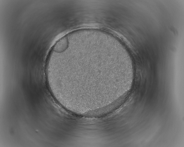 X0000111471168200908241335