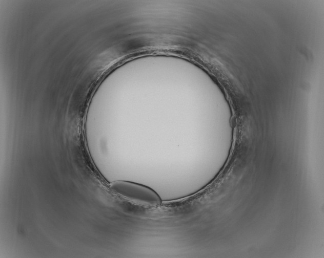 X0000111471169200908241335