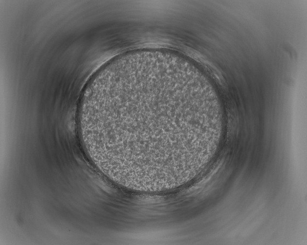 X0000111471170200908241335