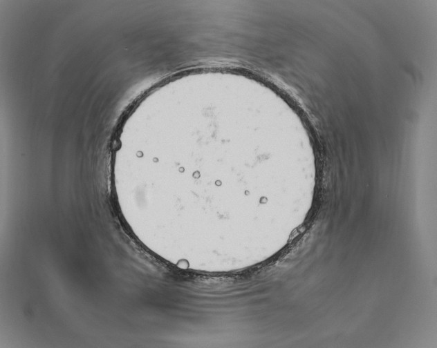 X0000111471171200908241335