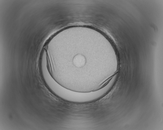 X0000111471173200908241335