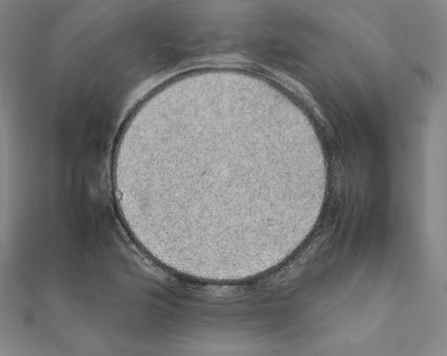 X0000111471176200908241335