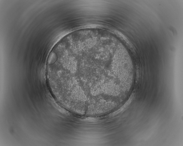 X0000111471178200908241335