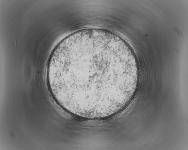 X0000111471179200908241335