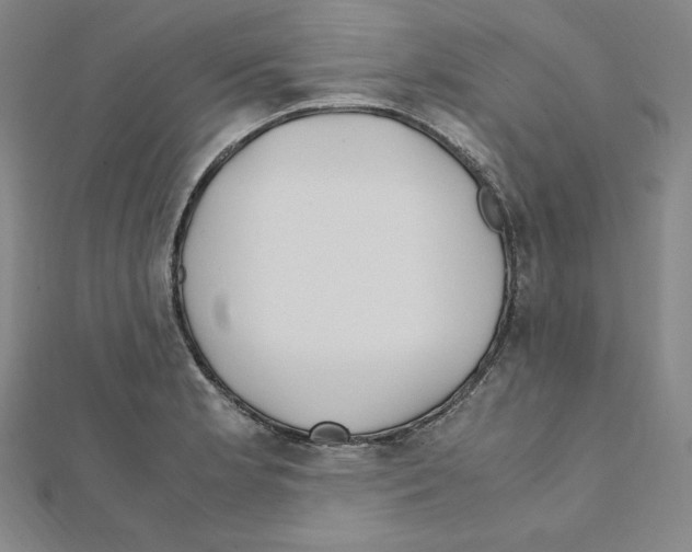 X0000111471181200908241335