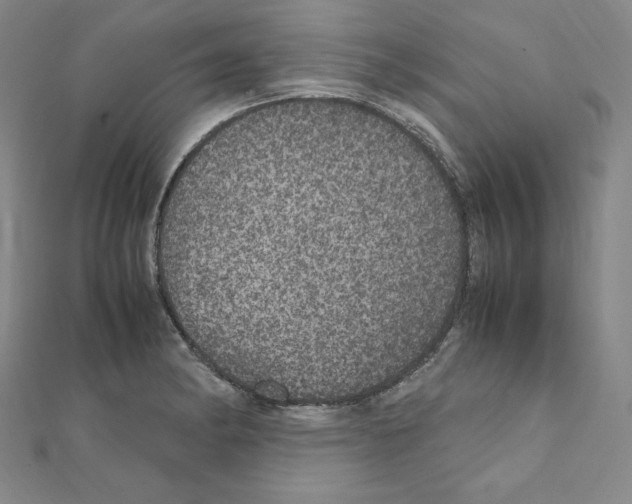 X0000111471182200908241335