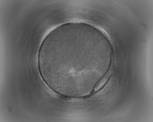 X0000111471183200908241335