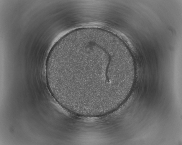 X0000111471184200908241335