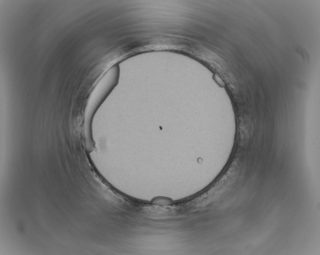 X0000111471185200908241335