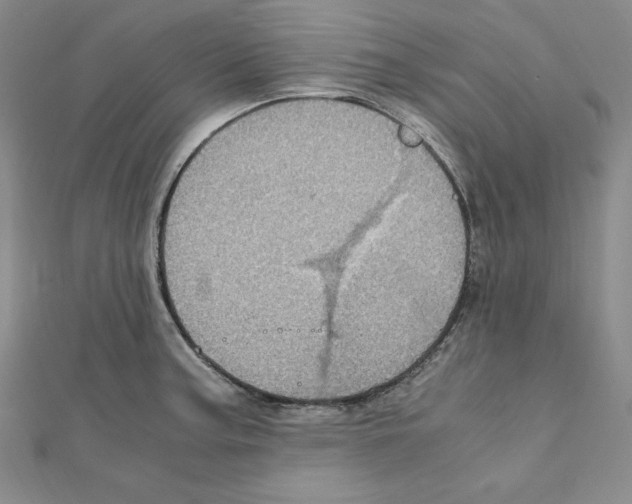 X0000111471187200908241335