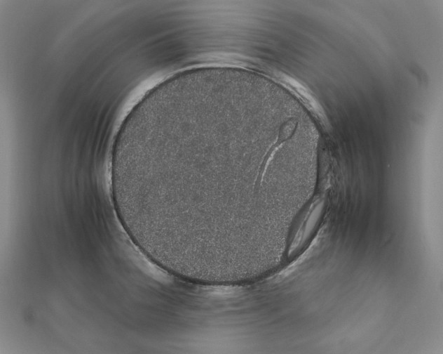 X0000111471188200908241335