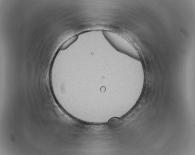 X0000111471189200908241335