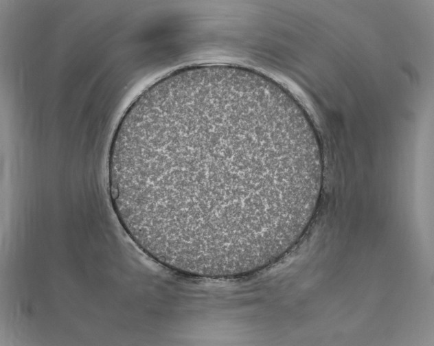 X0000111471191200908241335