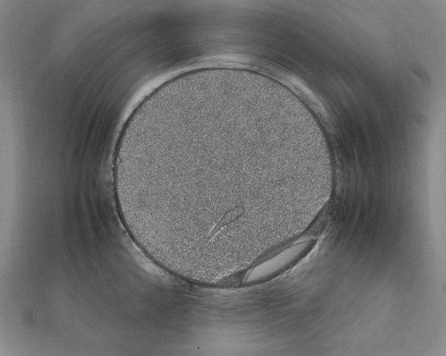 X0000111471192200908241335