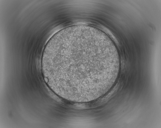 X0000111471194200908241335