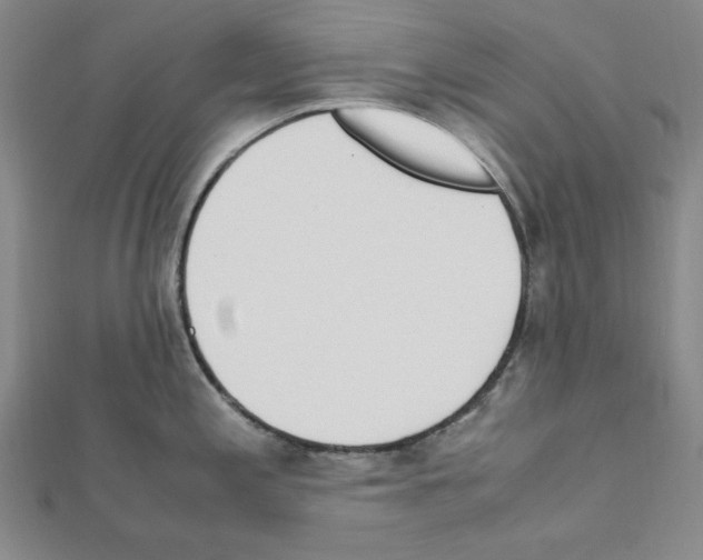 X0000111471197200908241335