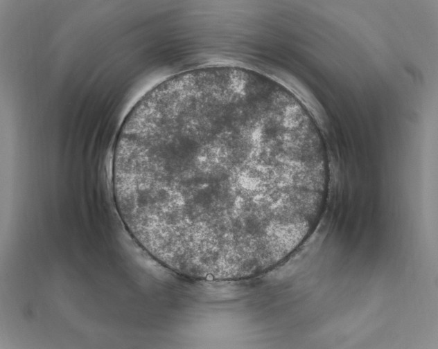 X0000111471198200908241335