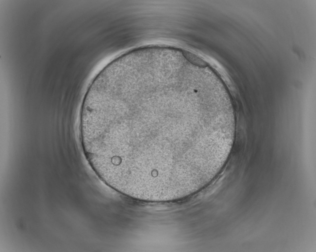 X0000111471199200908241335