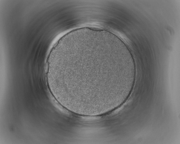 X0000111471200200908241335