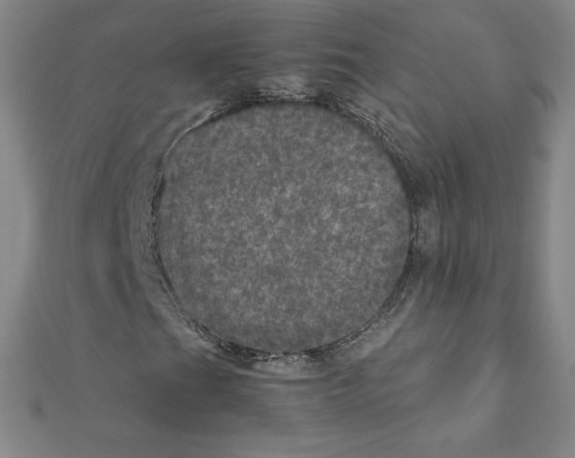 X0000111471201200908241334