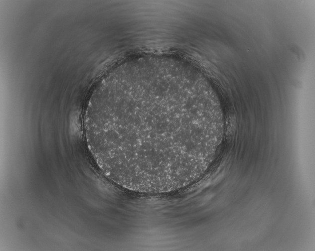 X0000111471202200908241334