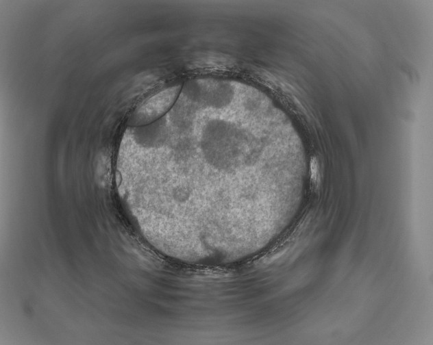 X0000111471203200908241334