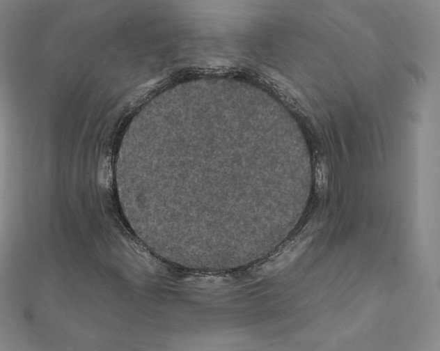 X0000111471204200908241334