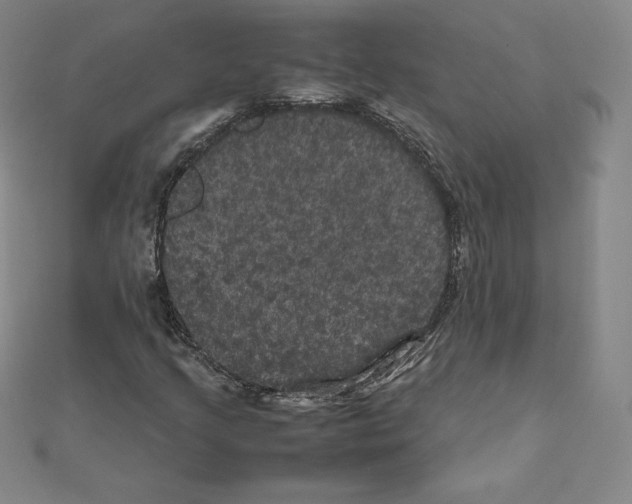 X0000111471205200908241334