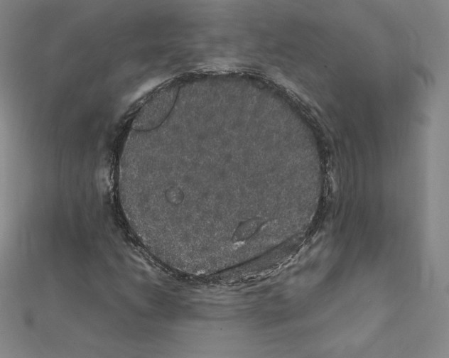 X0000111471206200908241334