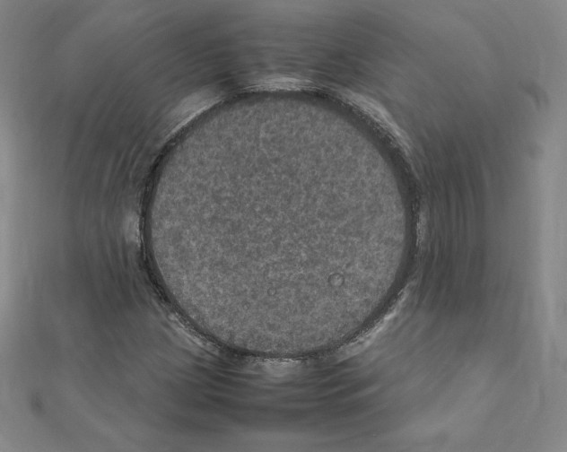 X0000111471209200908241334