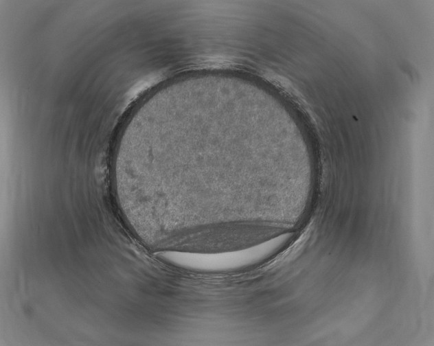 X0000111471210200908241334