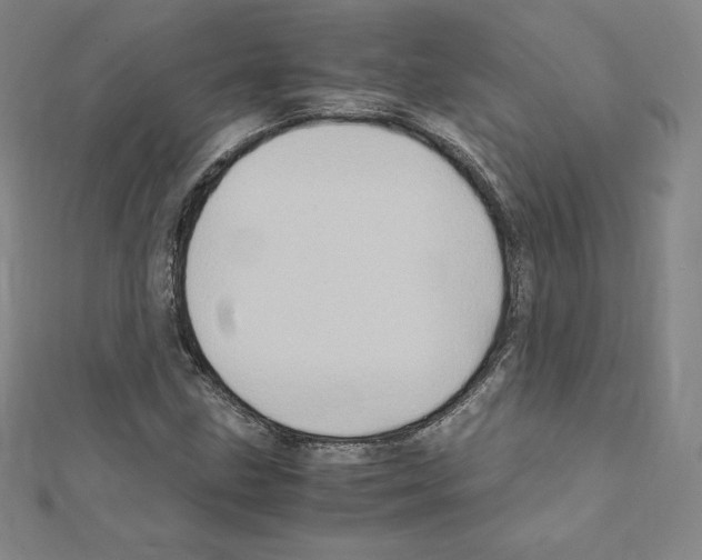 X0000111471211200908241334