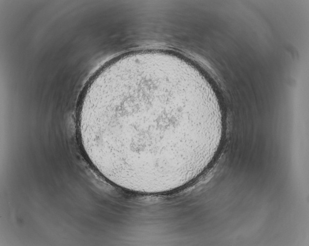 X0000111471212200908241334