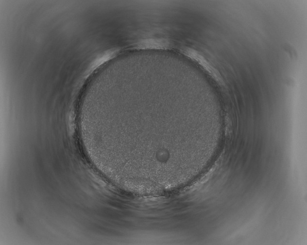 X0000111471213200908241334