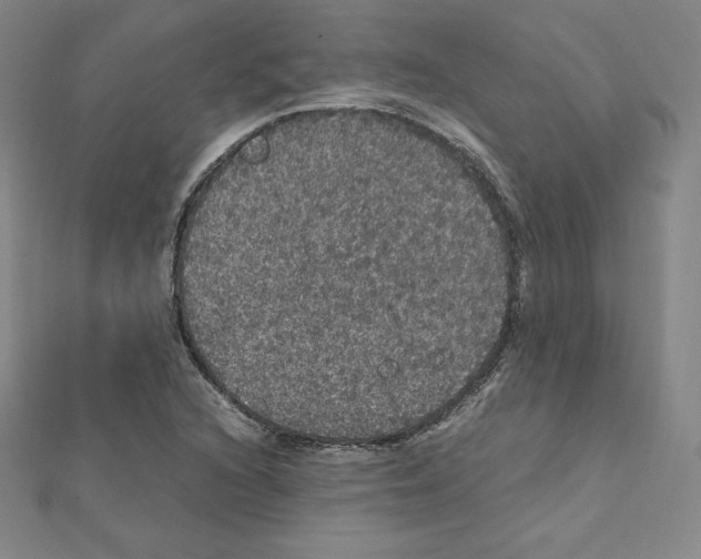 X0000111471216200908241334