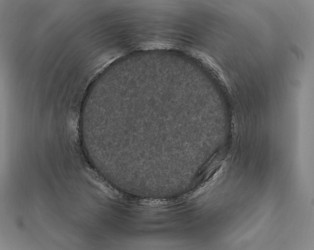 X0000111471217200908241334