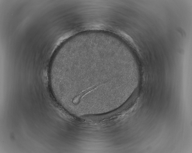 X0000111471218200908241334