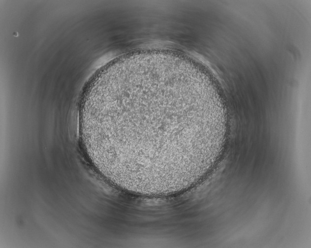 X0000111471219200908241334