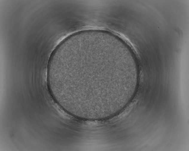 X0000111471220200908241334