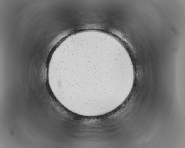 X0000111471221200908241334