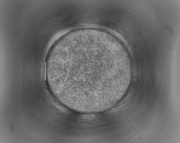 X0000111471223200908241334