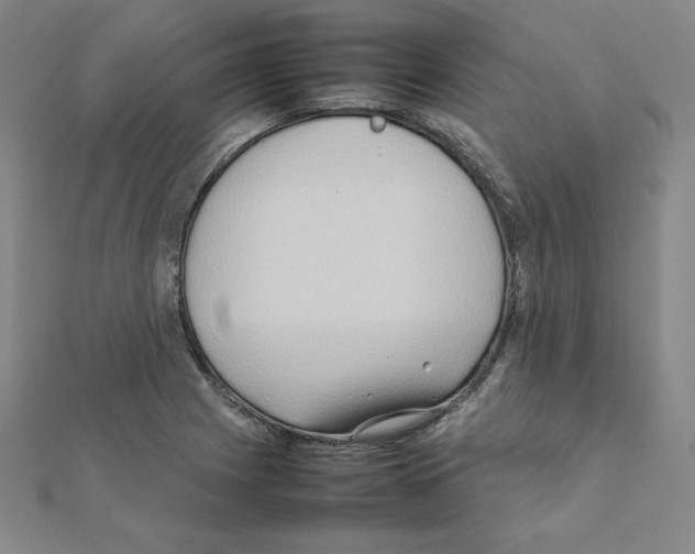 X0000111471225200908241334