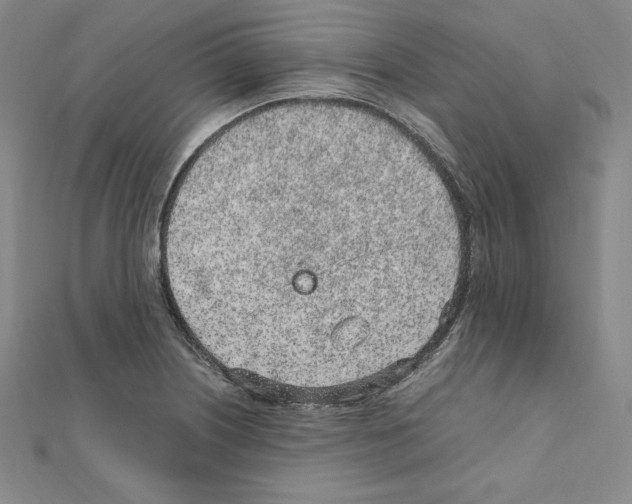 X0000111471226200908241334