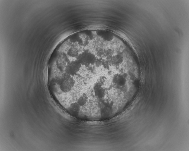 X0000111471227200908241334