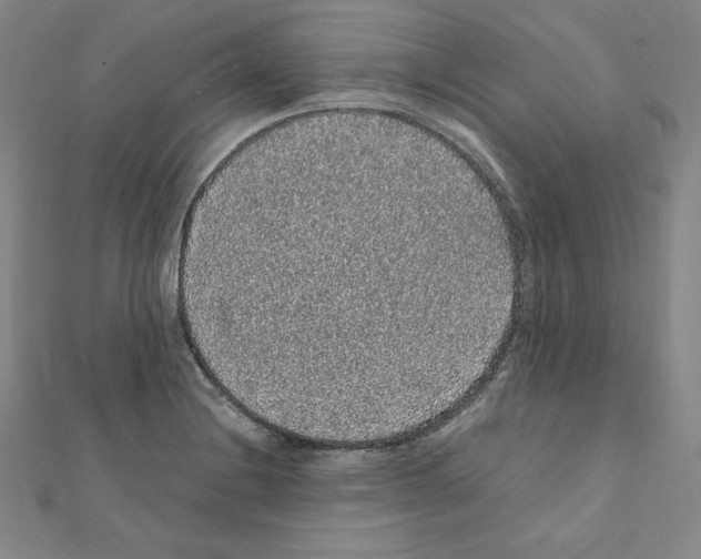 X0000111471228200908241334